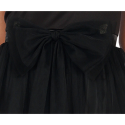 Adult Gothic Girl Night Queen Costume