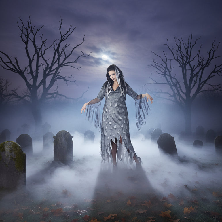 Adult Plus Size Graveyard Zombie Halloween Costume