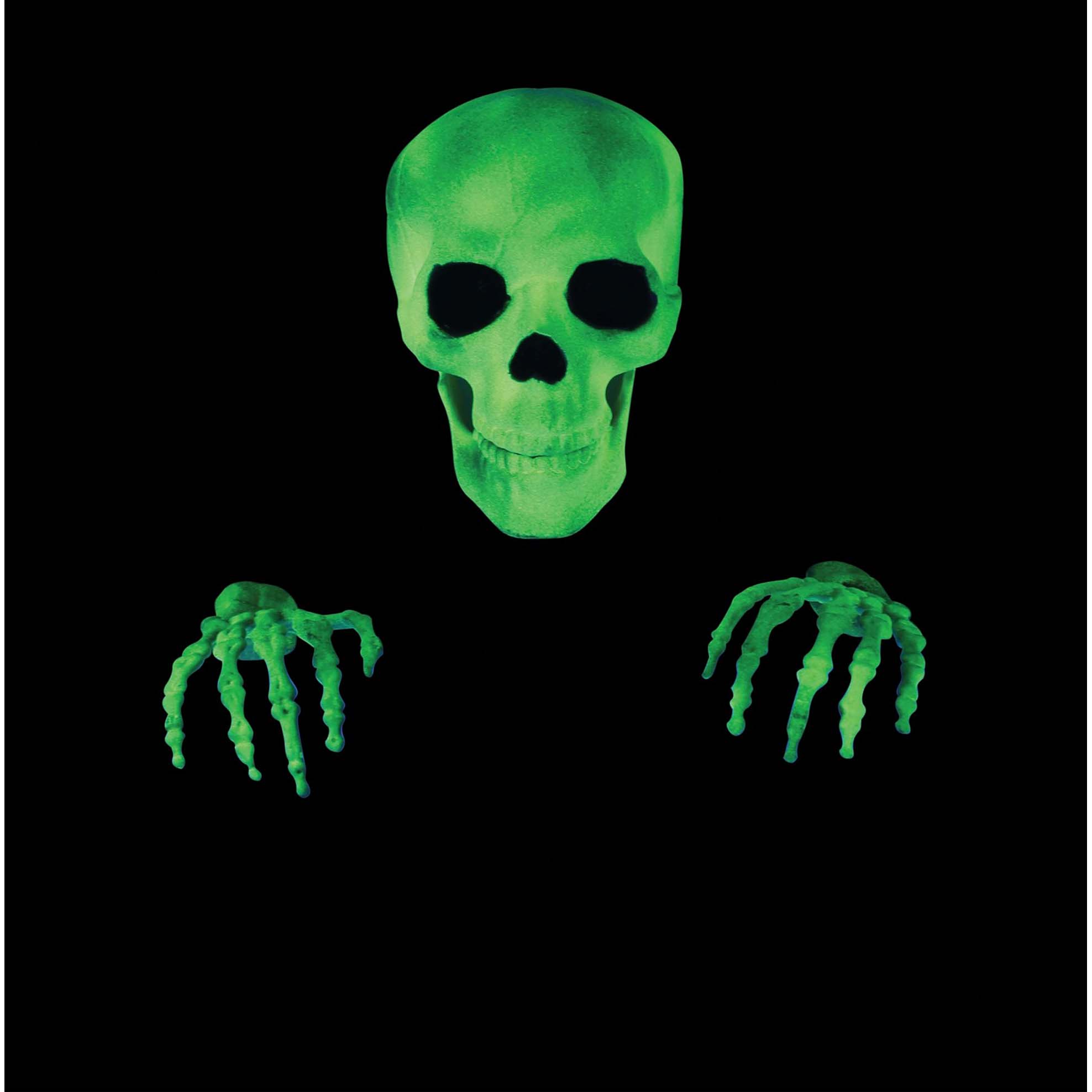 Glow in the Dark Skull With Hand