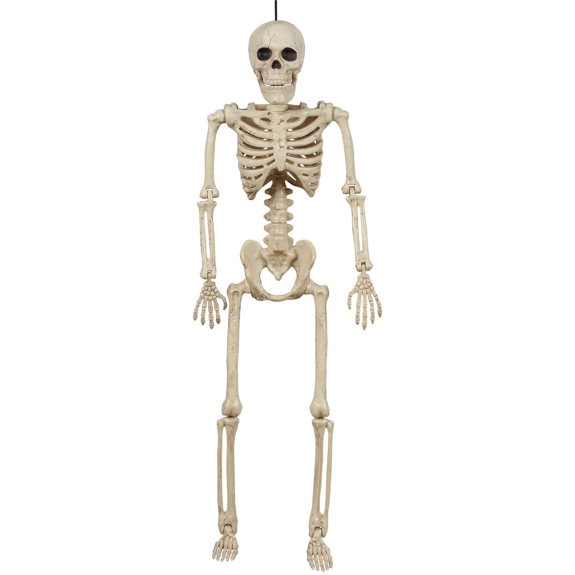 Poseable Hanging Skeleton Decoration 15.5in