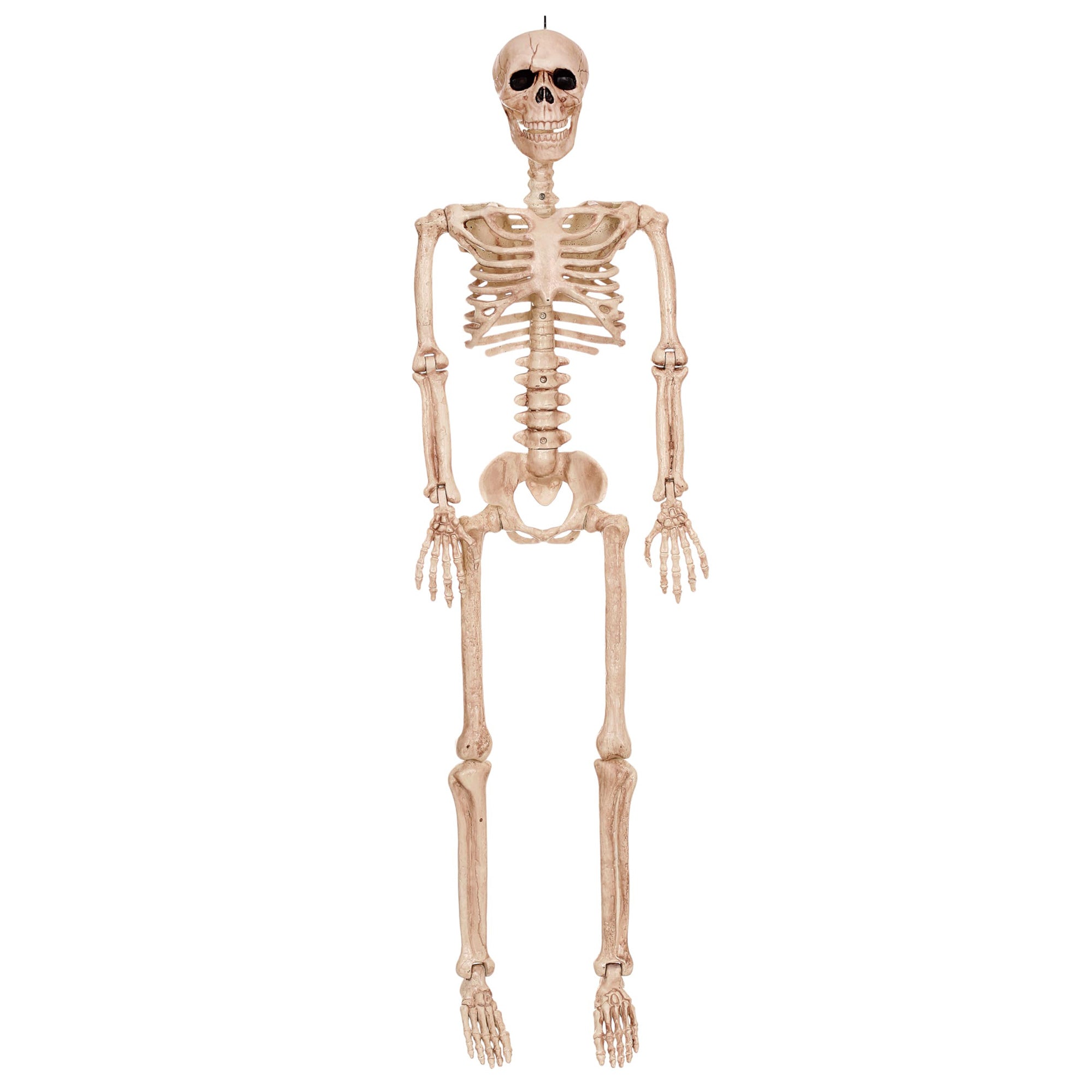 Posable Skeleton Decoration 36in