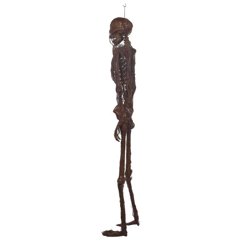 Poseable Rotting Skin Plastic & Fabric Hanging Skeleton Decoration