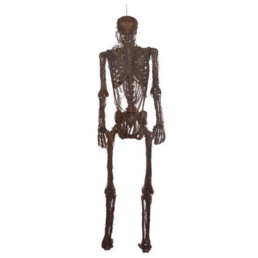 Poseable Rotting Skin Plastic & Fabric Hanging Skeleton Decoration