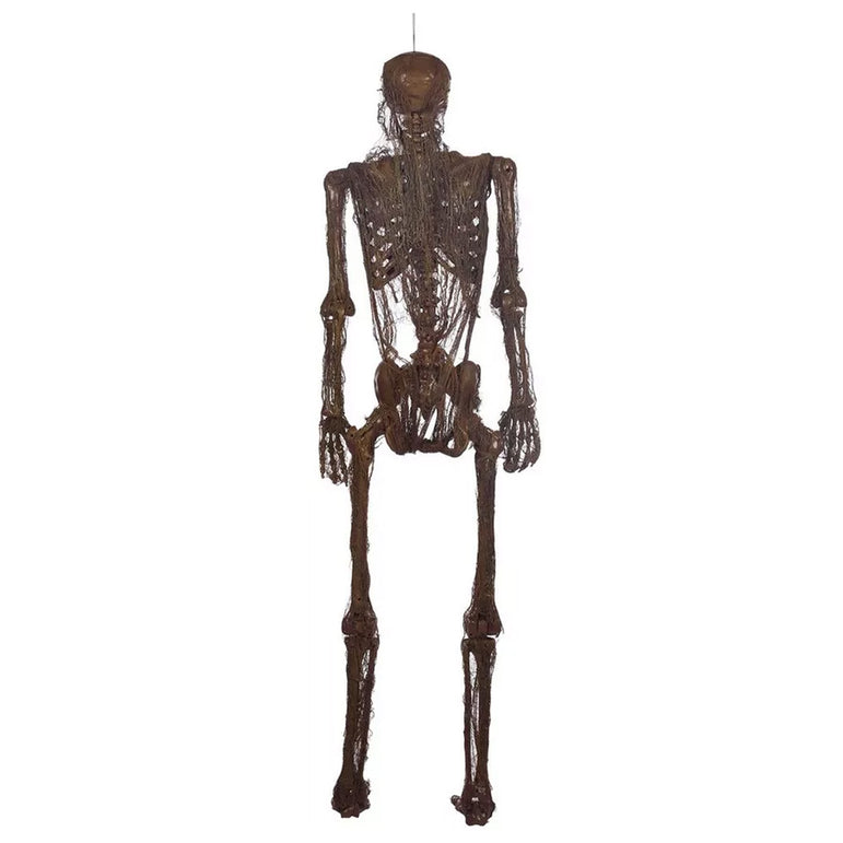Poseable Rotting Skin Plastic & Fabric Hanging Skeleton Decoration