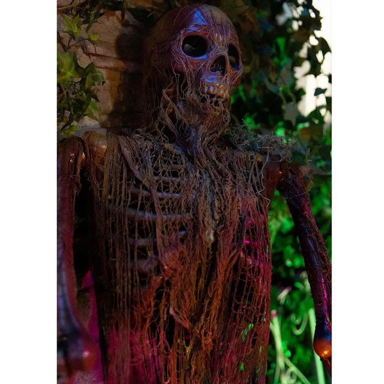 Poseable Rotting Skin Plastic & Fabric Hanging Skeleton Decoration