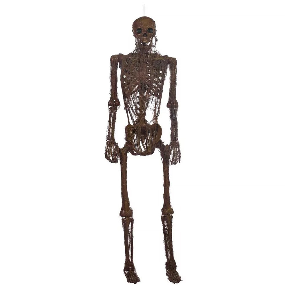 Poseable Rotting Skin Plastic & Fabric Hanging Skeleton Decoration