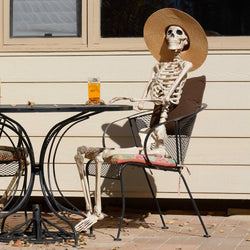Life-Size Posable Skeleton Decoration