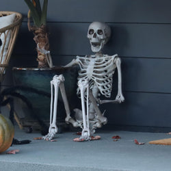 Life-Size Posable Skeleton Decoration