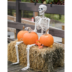 Life-Size Posable Skeleton Decoration