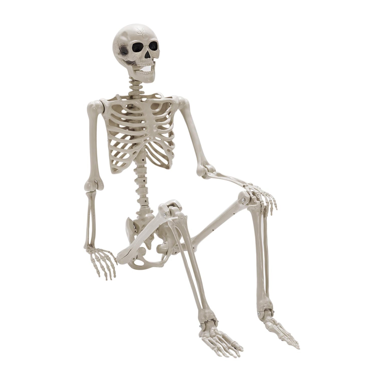 Life-Size Posable Skeleton Decoration