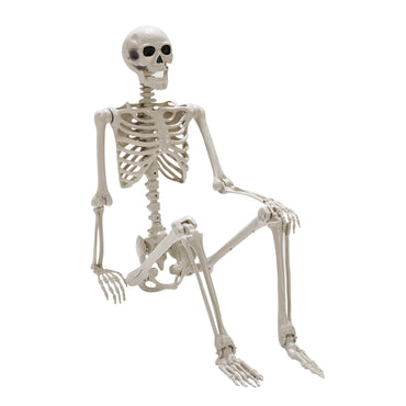 Life-Size Posable Skeleton Decoration