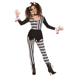 Adult Jester Woman Costume