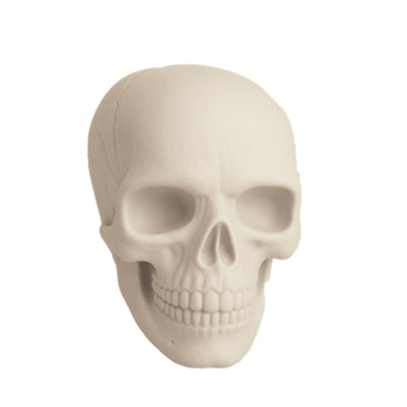 Skull Ivory Decoration 17 x 17 x 24 cm