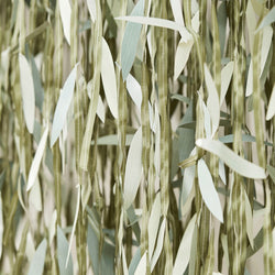 Botanical Baby Leaf Ribbon Backdrop