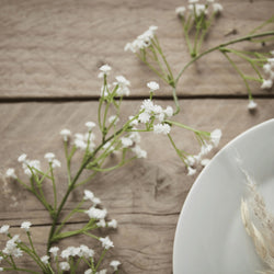 Botanical Wedding White Gypsophila Foliage Garland