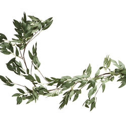 Botanical Wedding Foliage Green Ruscus Garland