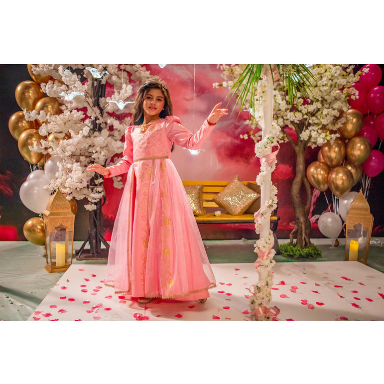 Disney Golden Princess Aurora Prestige Dress Up Costume