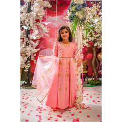 Disney Golden Princess Aurora Prestige Dress Up Kids Costume