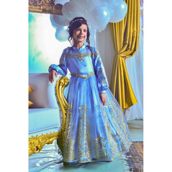 Disney Golden Princess Cinderella Prestige Dress Up Costume