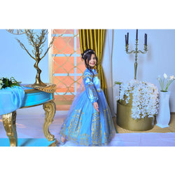 Disney Golden Princess Cinderella Prestige Dress Up Costume