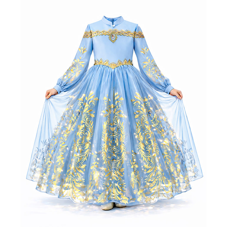Disney Golden Princess Cinderella Prestige Dress Up Costume