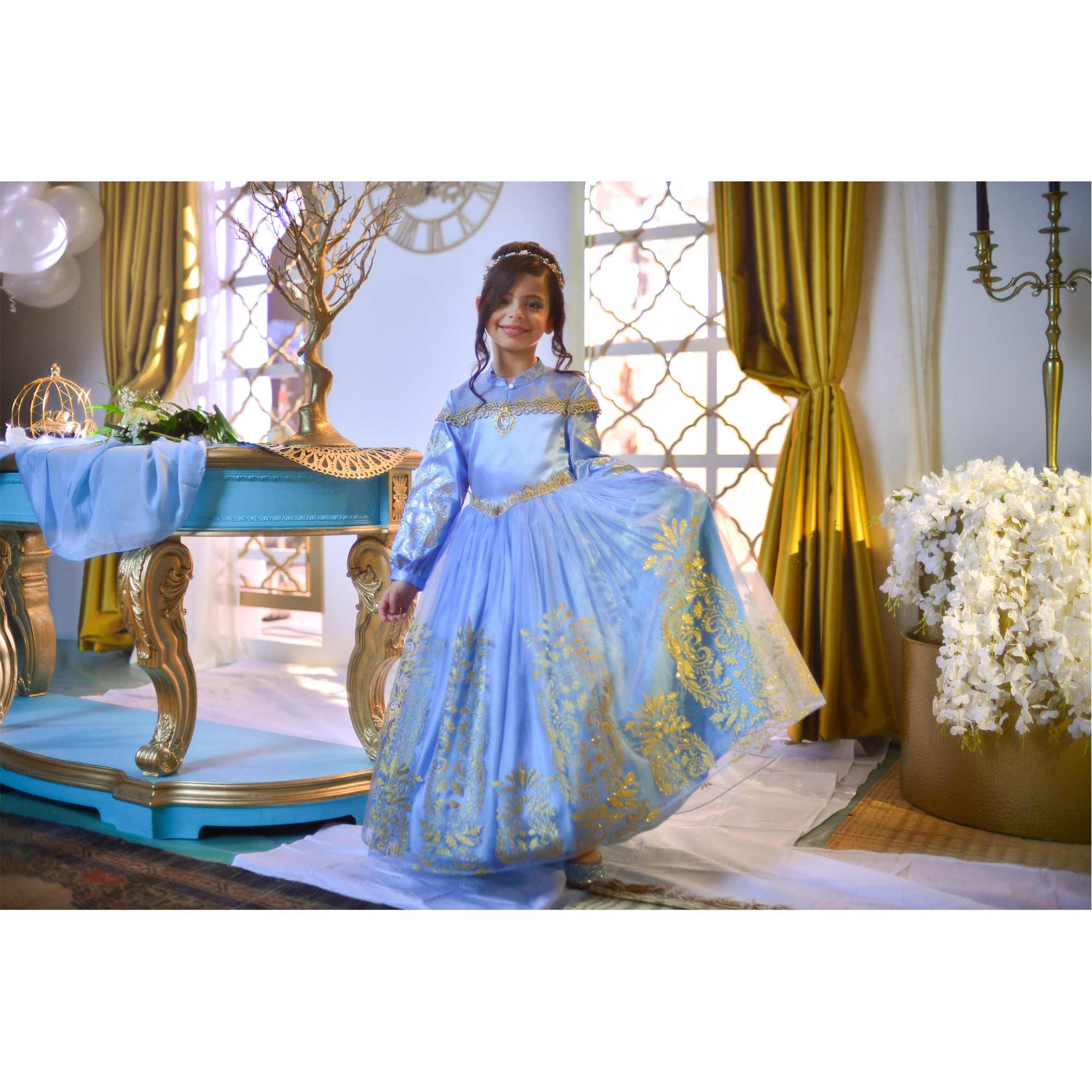 Shop Official Disney Golden Princess Cinderella Prestige Dress Up