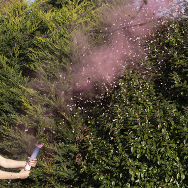 Pink Confetti and Smoke Cannon Popper Gender Reveal