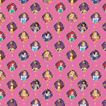 Disney Princesses Keys to the Kingdom Giftwrap