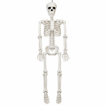 Posable Skeleton Hanging Decoration 36in