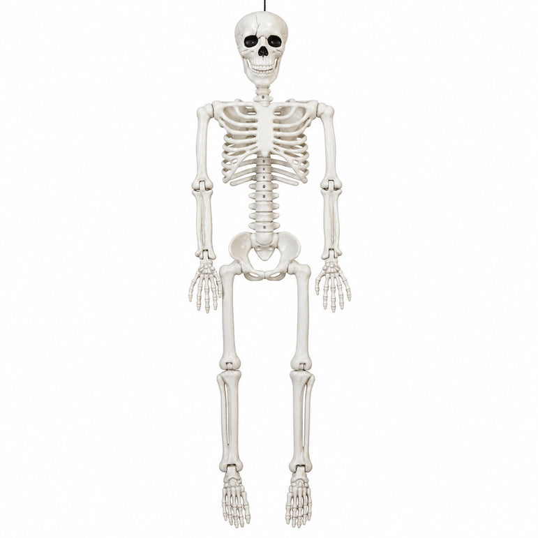 Posable Skeleton Hanging Decoration 36in