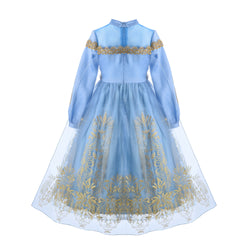 Disney Golden Princess Cinderella Prestige Dress Up Costume