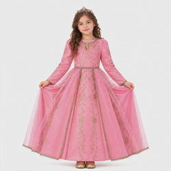 Disney Golden Princess Aurora Prestige Dress Up Costume