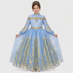 Disney Golden Princess Cinderella Prestige Dress Up Costume