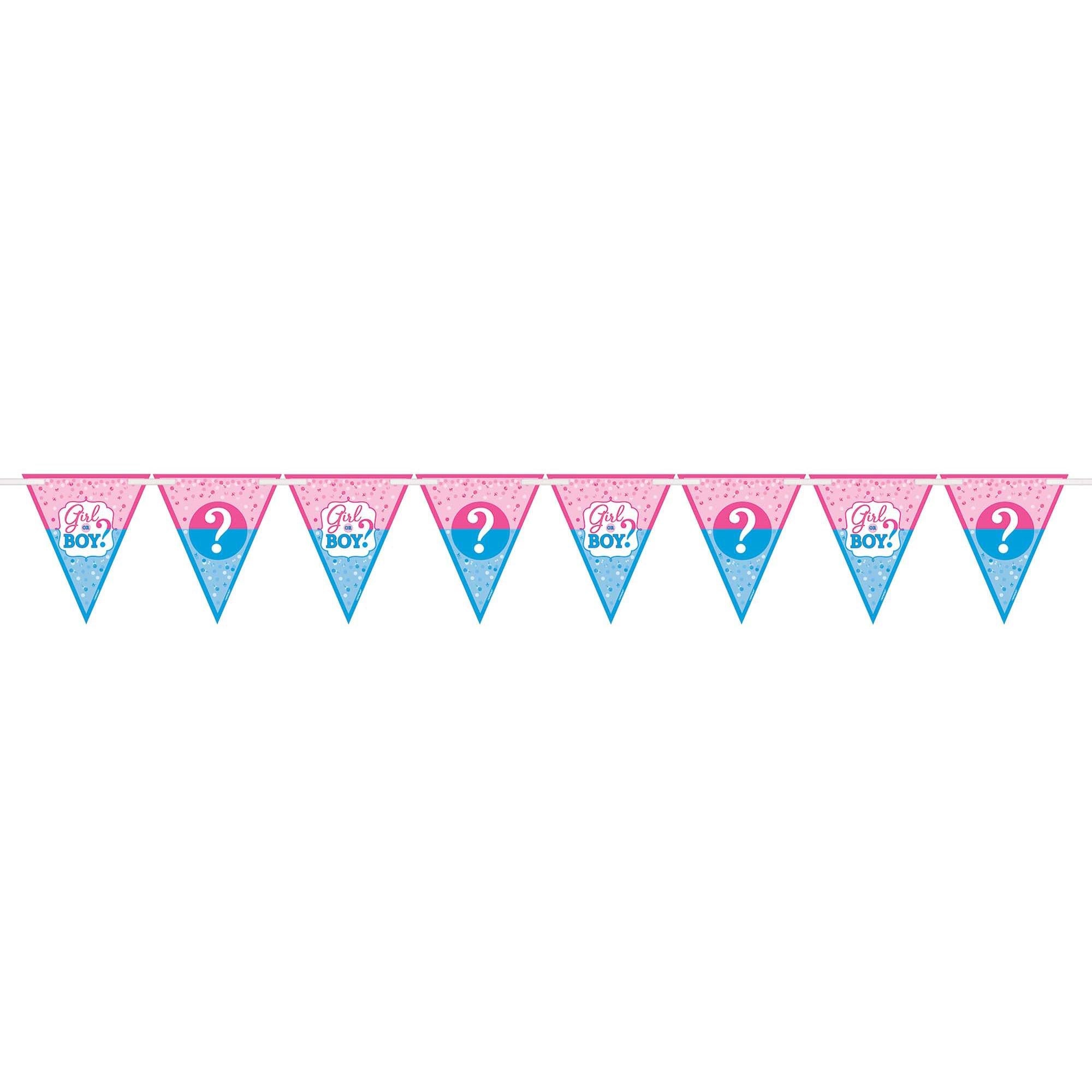 Girl Or Boy? Paper Pennant Banner 15ft Decorations - Party Centre