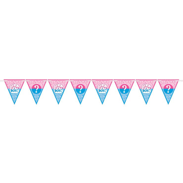 Girl Or Boy? Paper Pennant Banner 15ft Decorations - Party Centre