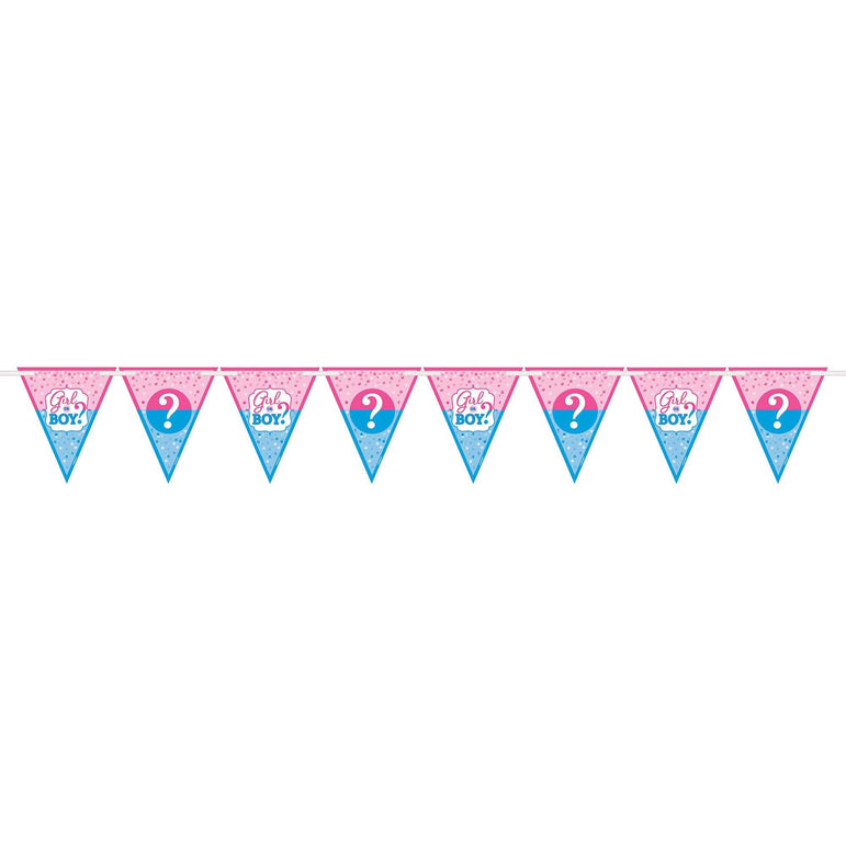 Girl Or Boy? Paper Pennant Banner 15ft Decorations - Party Centre