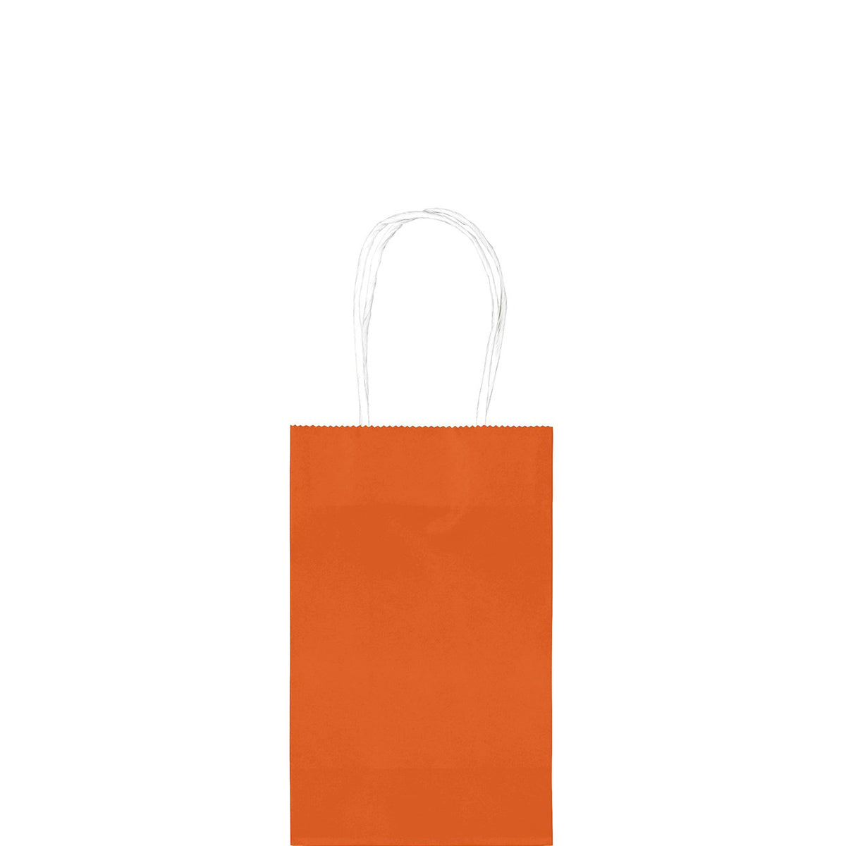 Orange Cub Bag Value Pack 10pcs Party Favors - Party Centre
