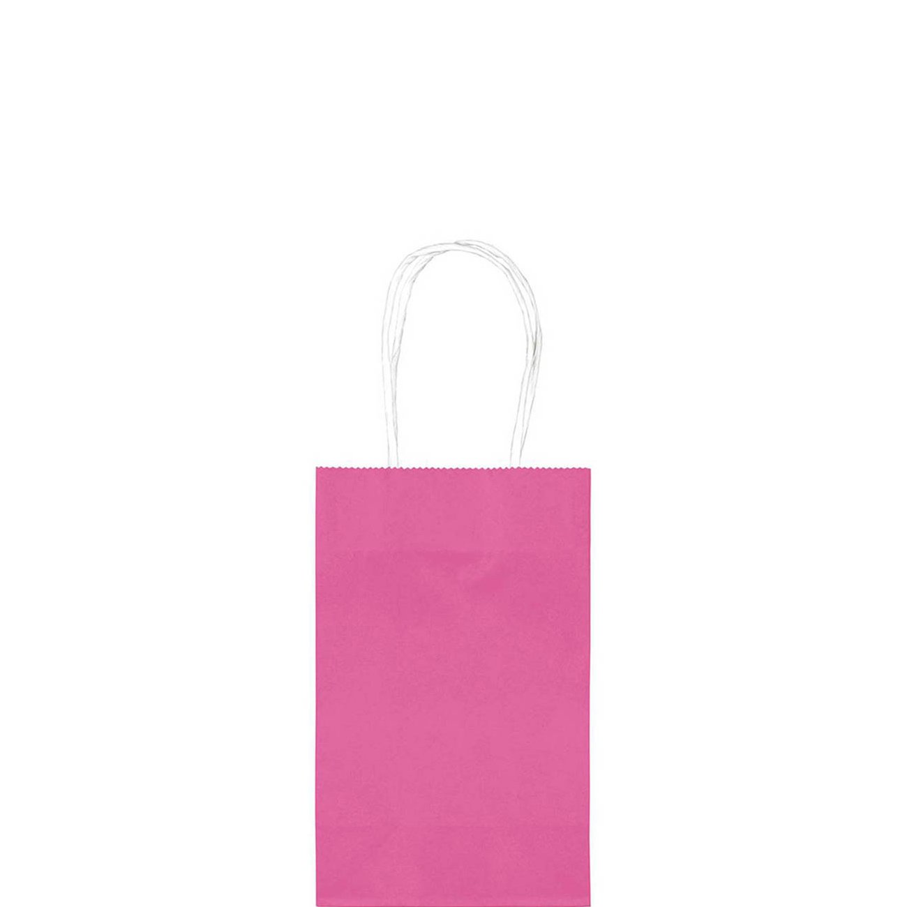 Bright Pink Cub Bag Value Pack 10pcs Party Favors - Party Centre