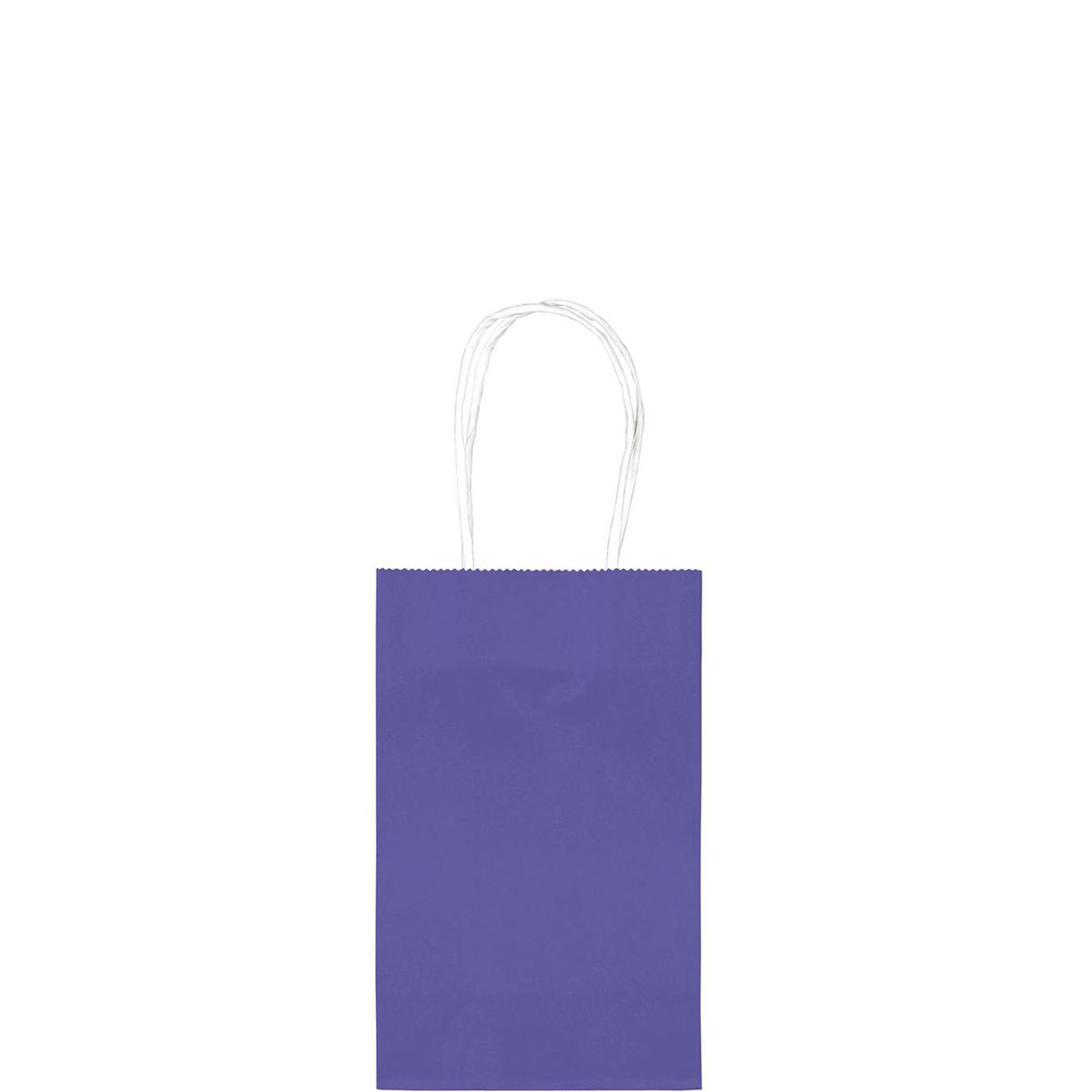 New Purple Cub Bag Value Pack 10pcs Party Favors - Party Centre
