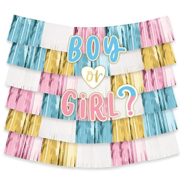 Gender Reveal Deluxe Backdrop Kit 15pcs