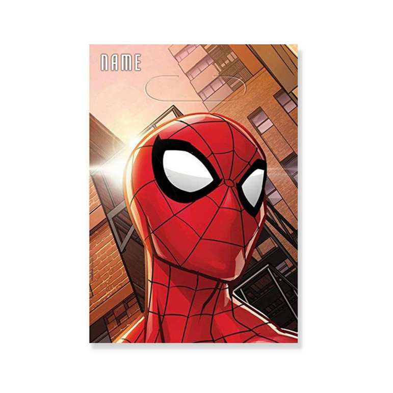 Spider-Man Webbed Folded Loot Bags 8pcs