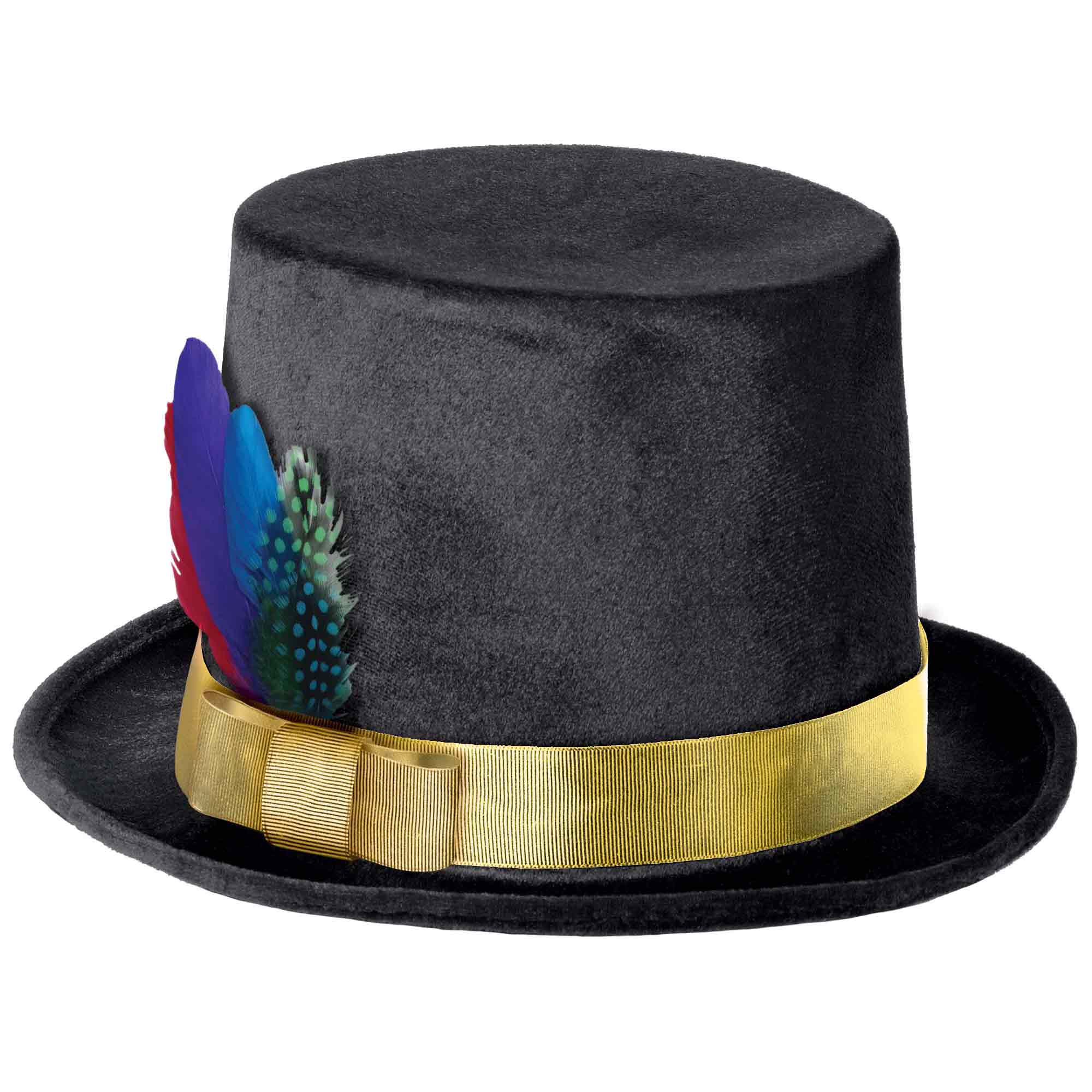 Fancy Feather Top Hat Costumes & Apparel - Party Centre