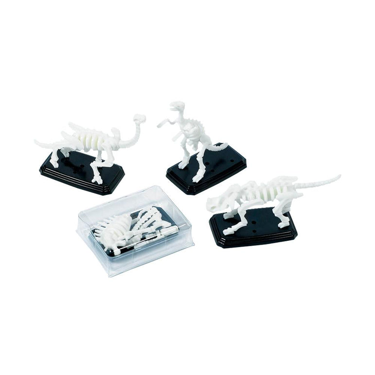 3-D Fossil Puzzle Favors 12pcs Party Favors - Party Centre