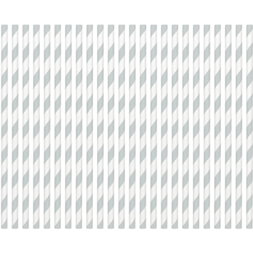 Silver Striped Paper Straws, 80pcs
