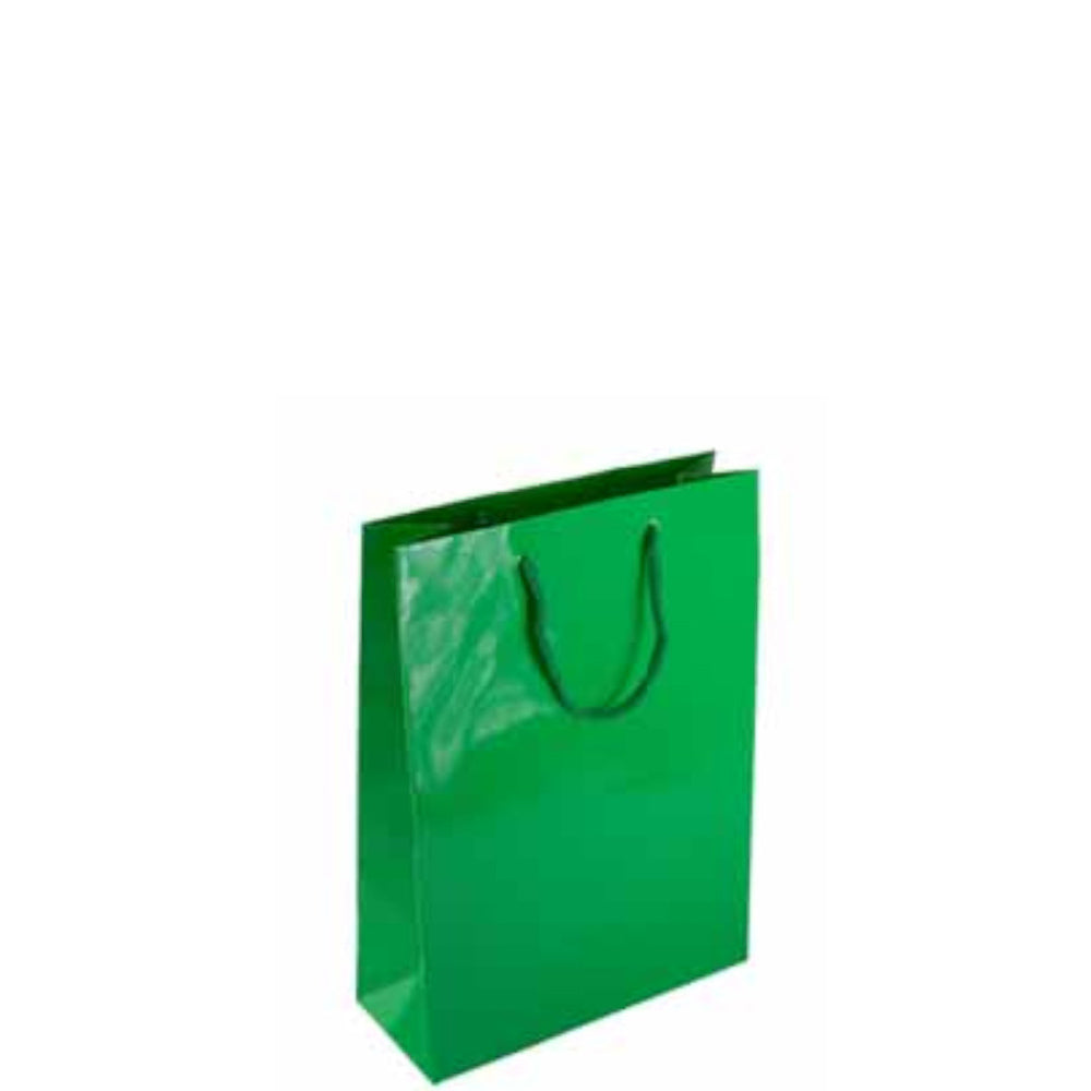 Green Mini Glossy Bag Party Favors - Party Centre