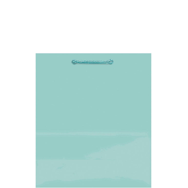 Robins Egg Blue Medium Glossy Bag Party Favors - Party Centre