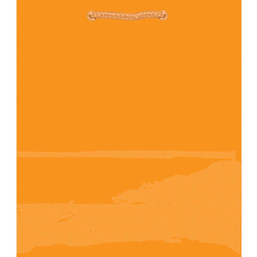 Orange Peel Jumbo Glossy Bag Party Favors - Party Centre