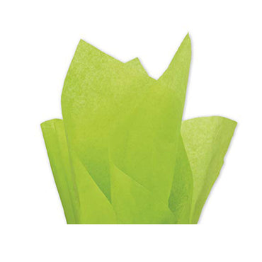 Kiwi  Wrapping Tissue Paper 20in x 20in, 8pcs Party Favors - Party Centre