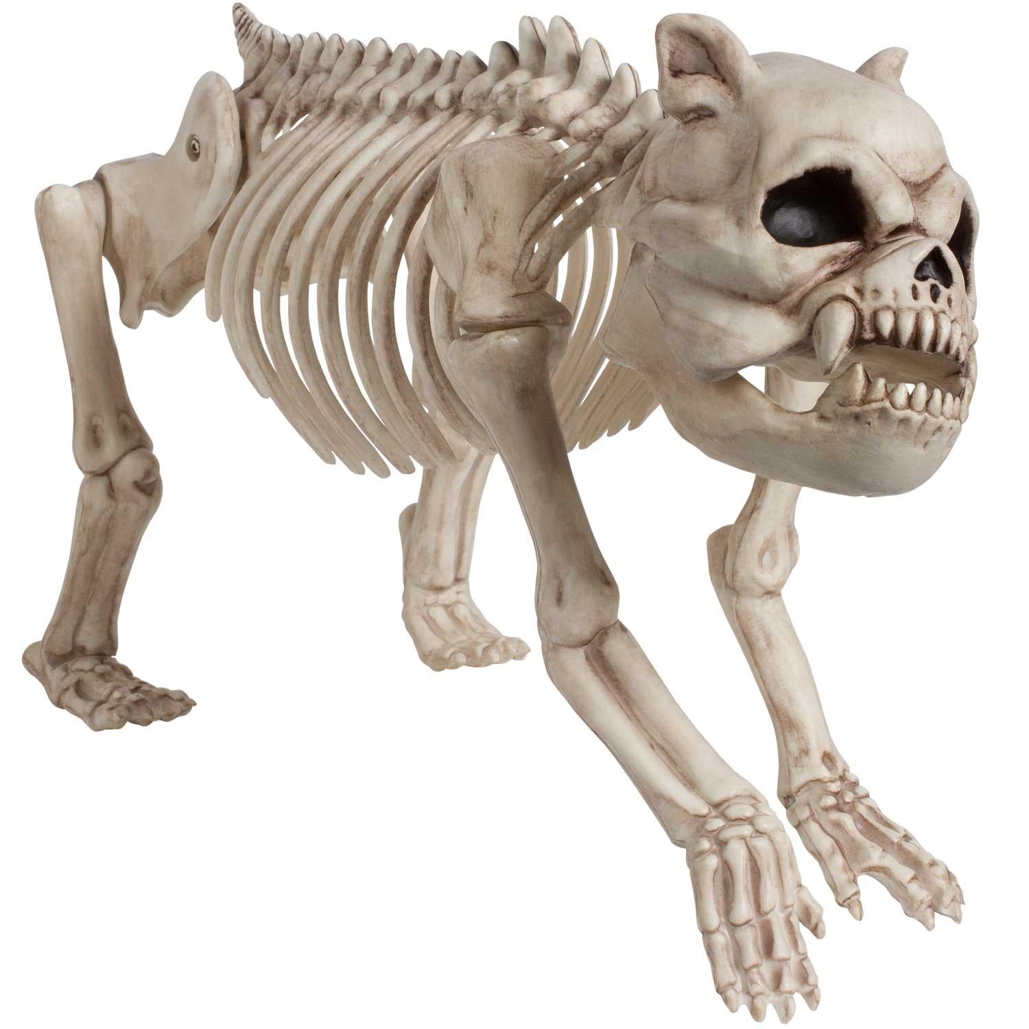 Cemetery Skeleton Dog - Plastic Decorations - Party Centre