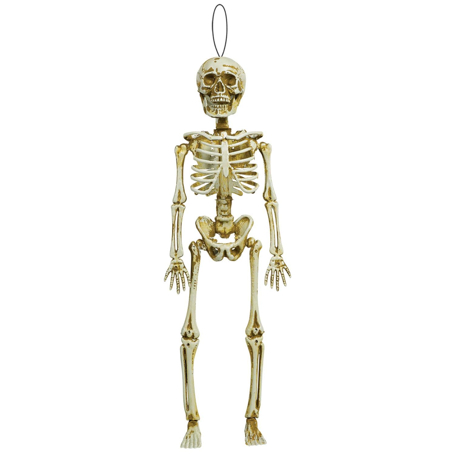 Boneyard Natural Bone Skeleton Hanging Decoration 39cm Decorations - Party Centre